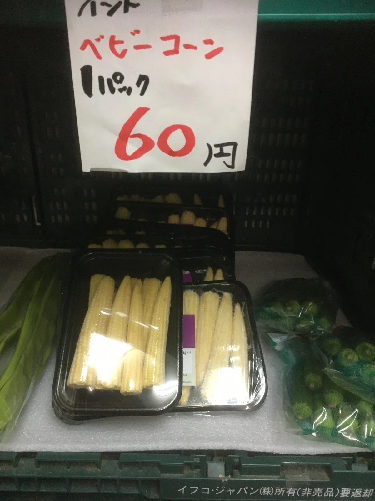 画像27