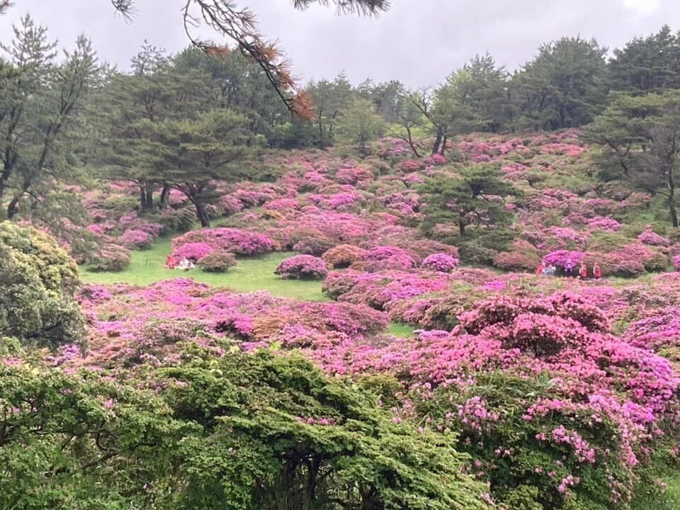 画像15