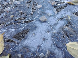 にれこスケッチ 偏愛にれこの生きる道 えのさとこ Note にれこスケッチ 偏愛にれこの生きる道 えのさとこ Note