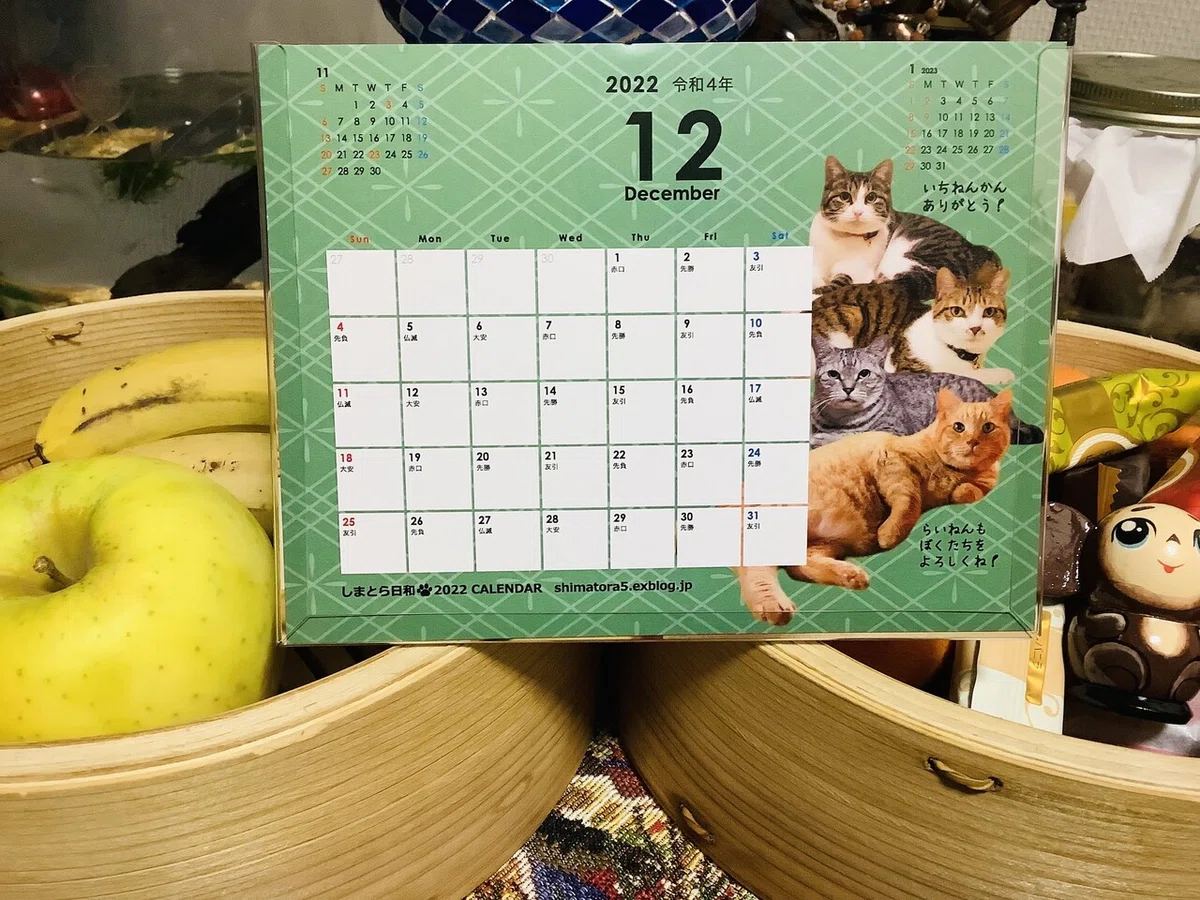 画像29