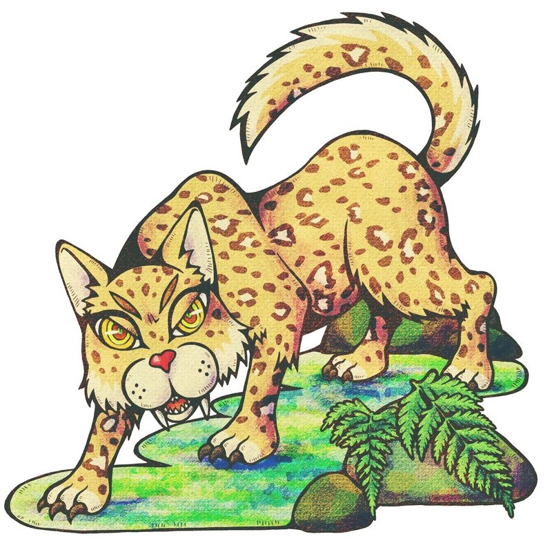 Uma遺産 第13回 ヤマピカリャー 神秘の島 沖縄県八重山郡竹富町西表島エリア Uma Crew Project Note