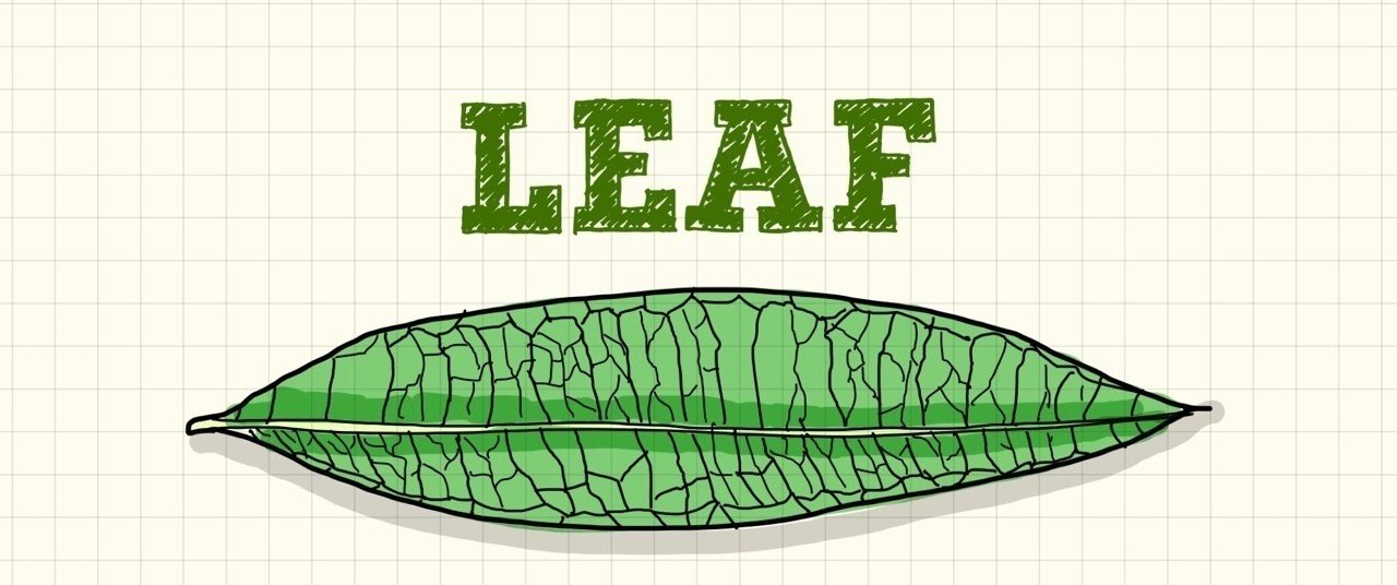 観察スケッチ#96・葉っぱ｜KatSushi