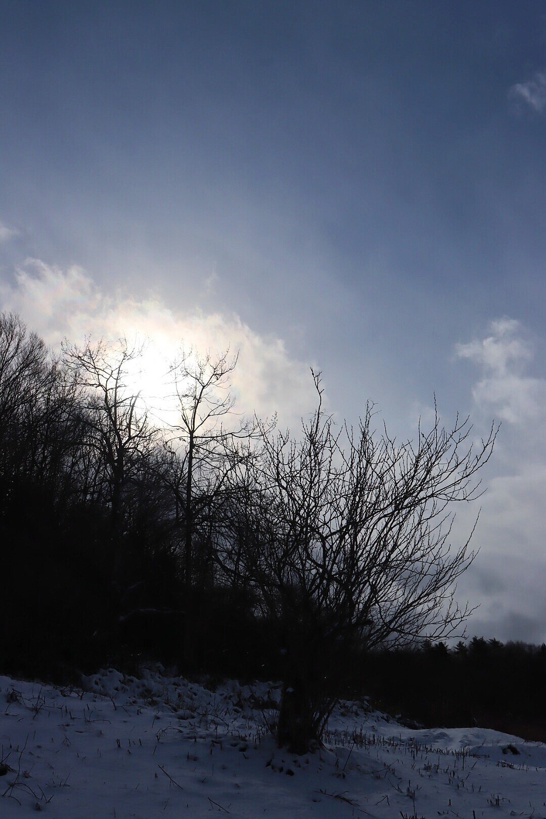 銀世界|ひら|note