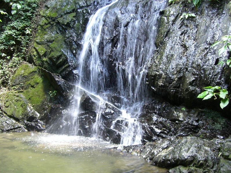 天山北側沢 (30)