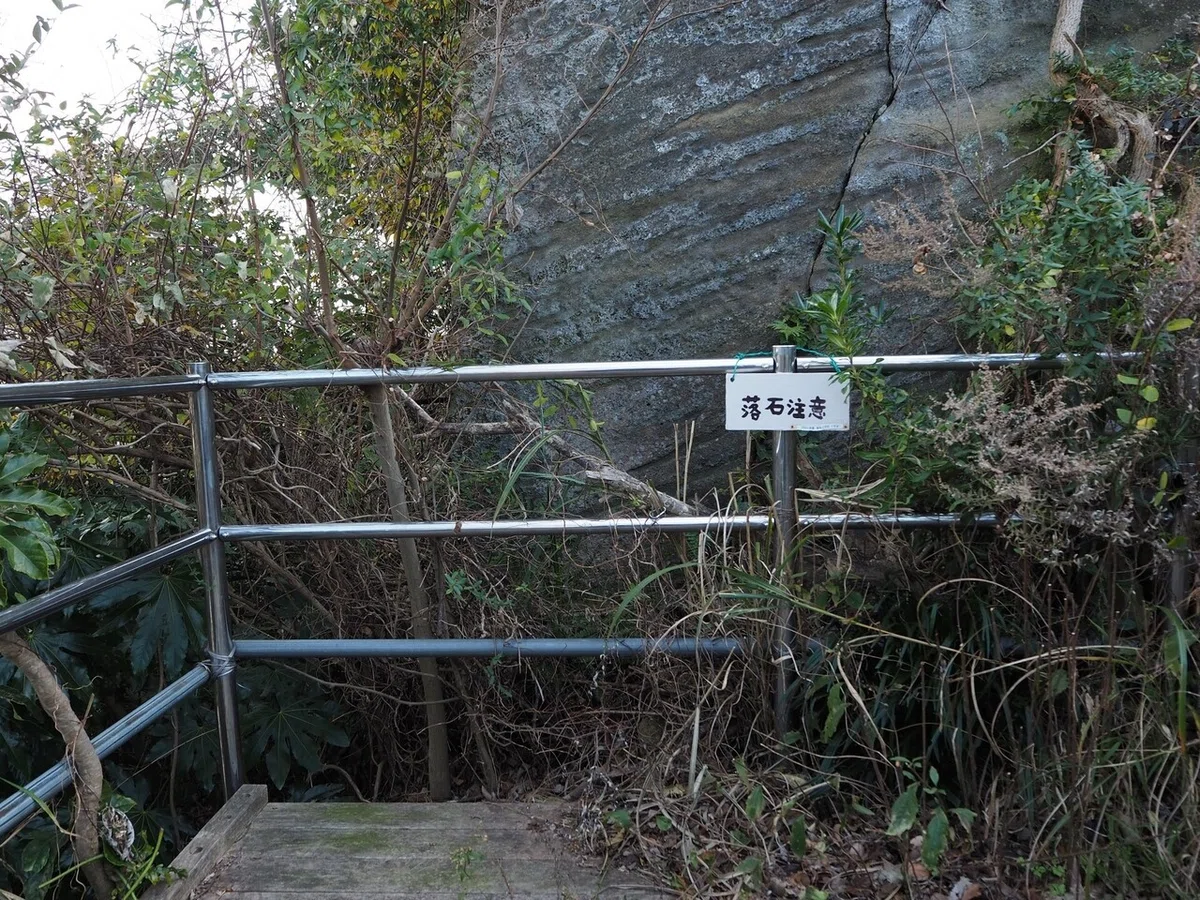 画像6