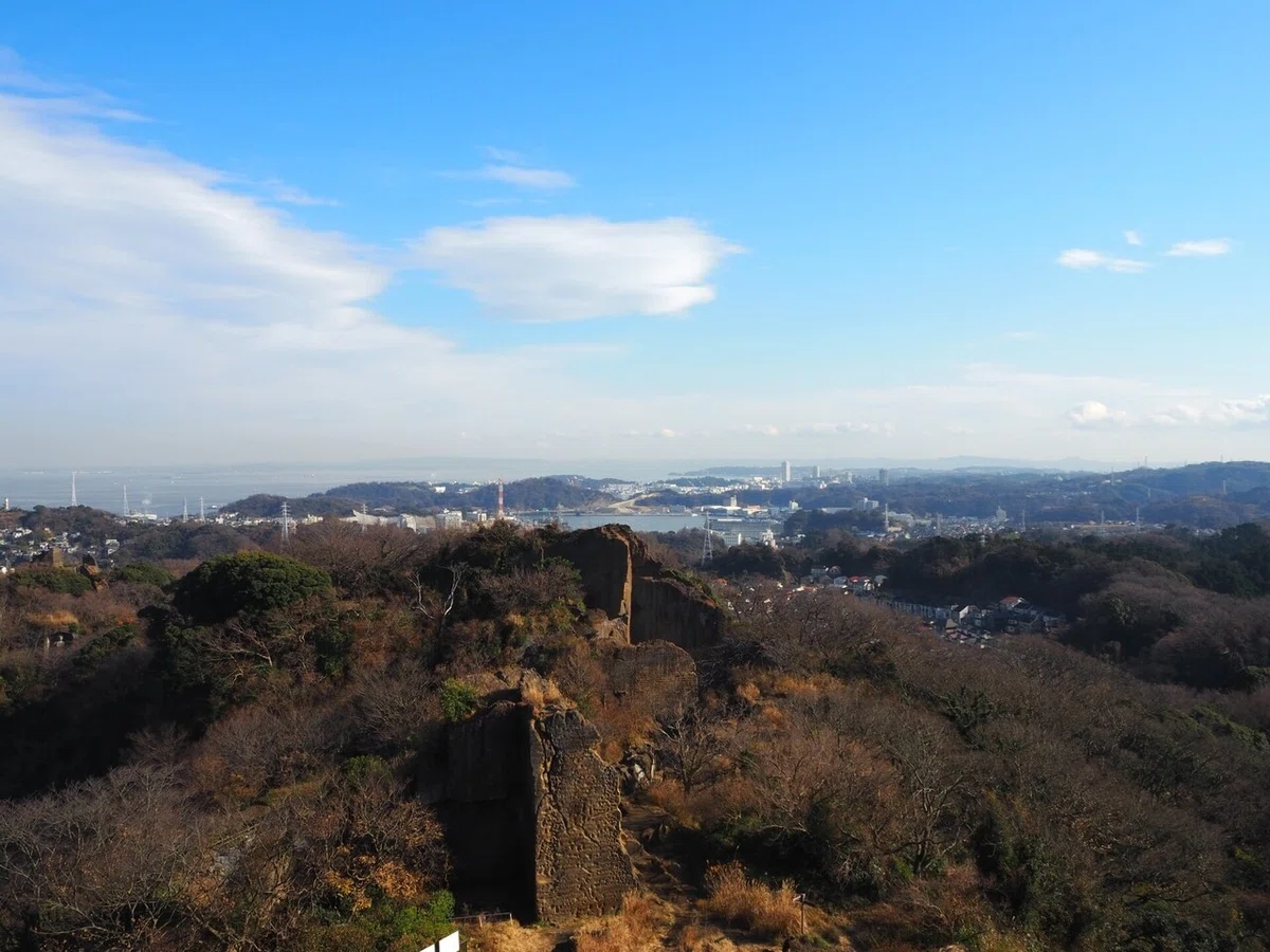 画像15