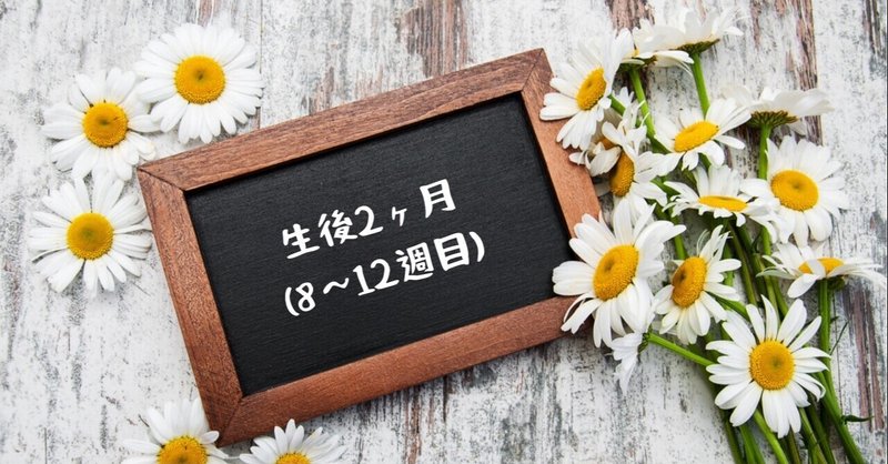 ジーナ式スケジュール の新着タグ記事一覧 Note つくる つながる とどける ジーナ式スケジュール の新着タグ記事一覧 Note つくる つながる とどける