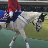 データ競馬予想 万馬