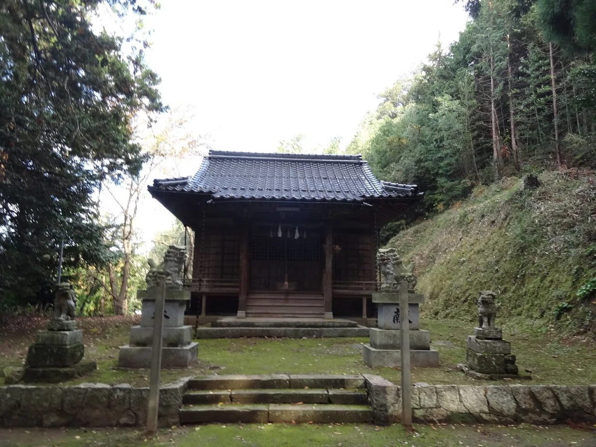 画像5