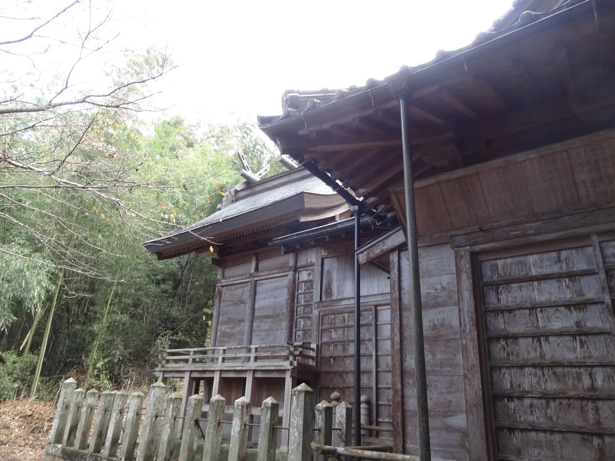 画像7