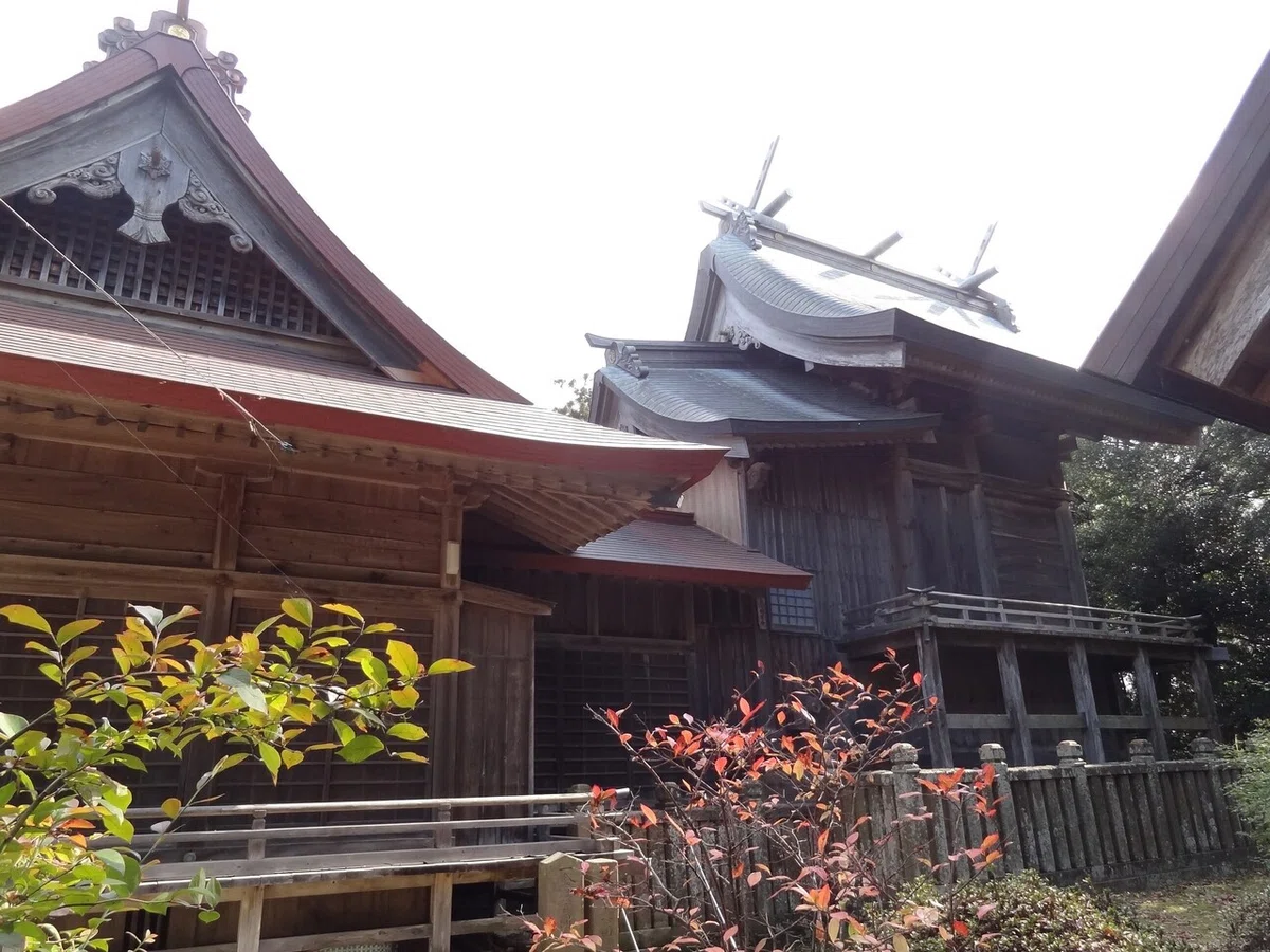 画像8