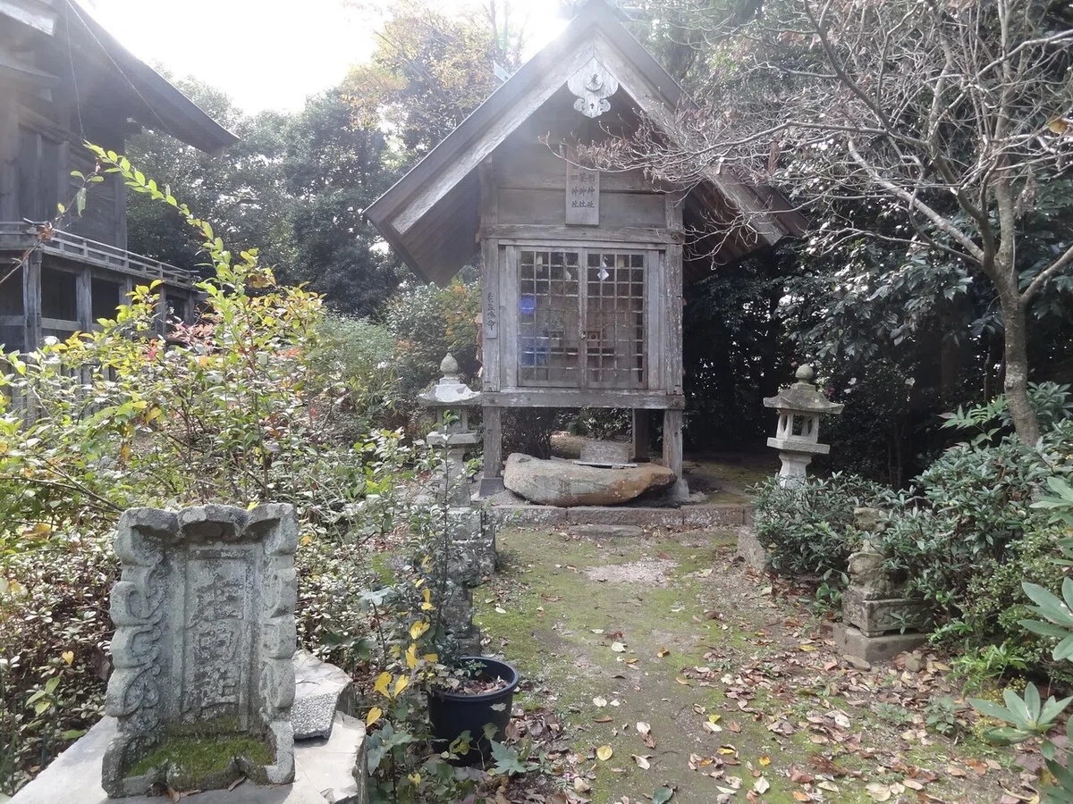 画像9