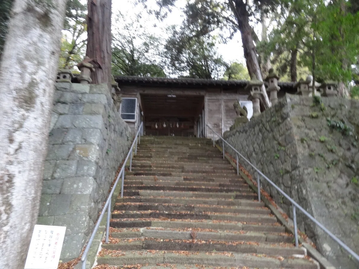 画像7