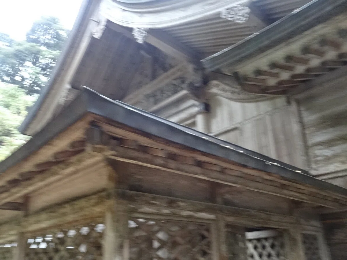 画像13