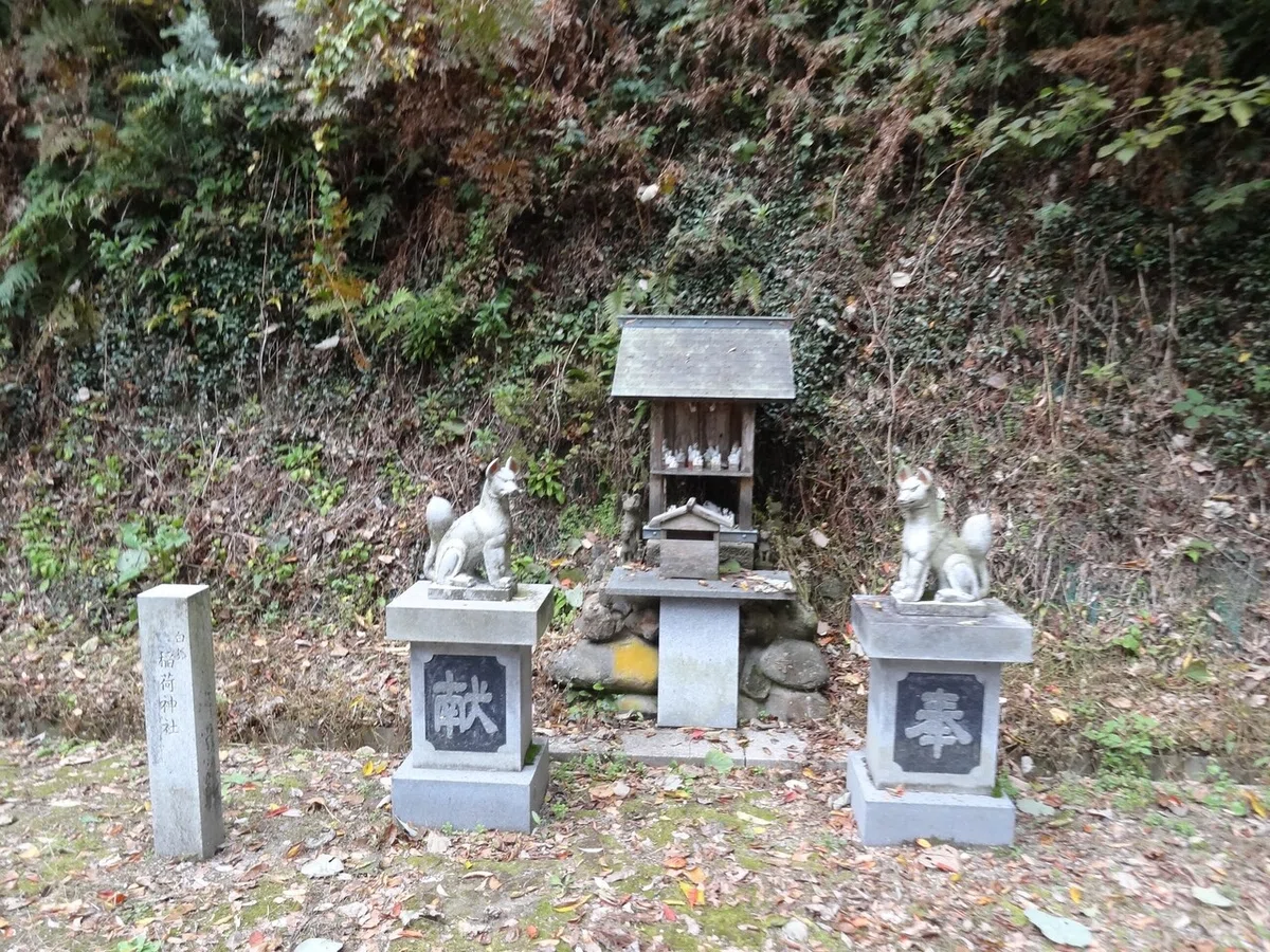 画像14