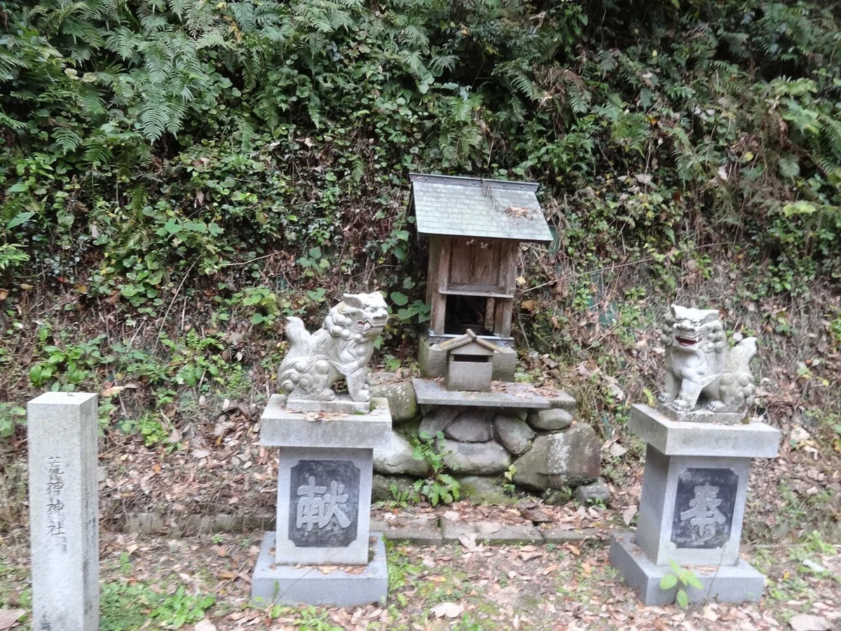 画像15