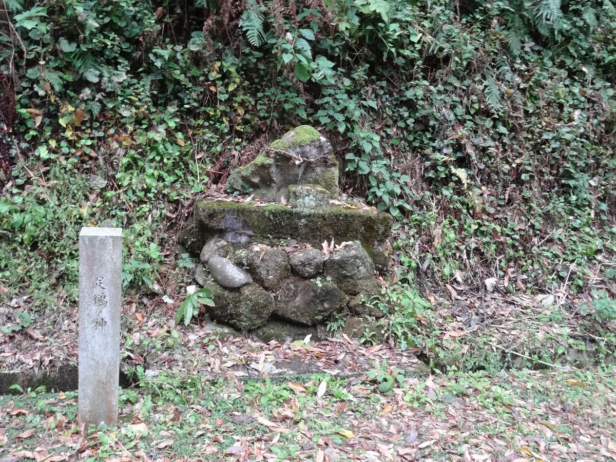 画像16