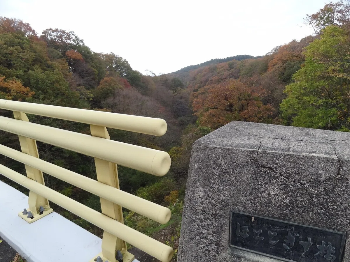 画像24