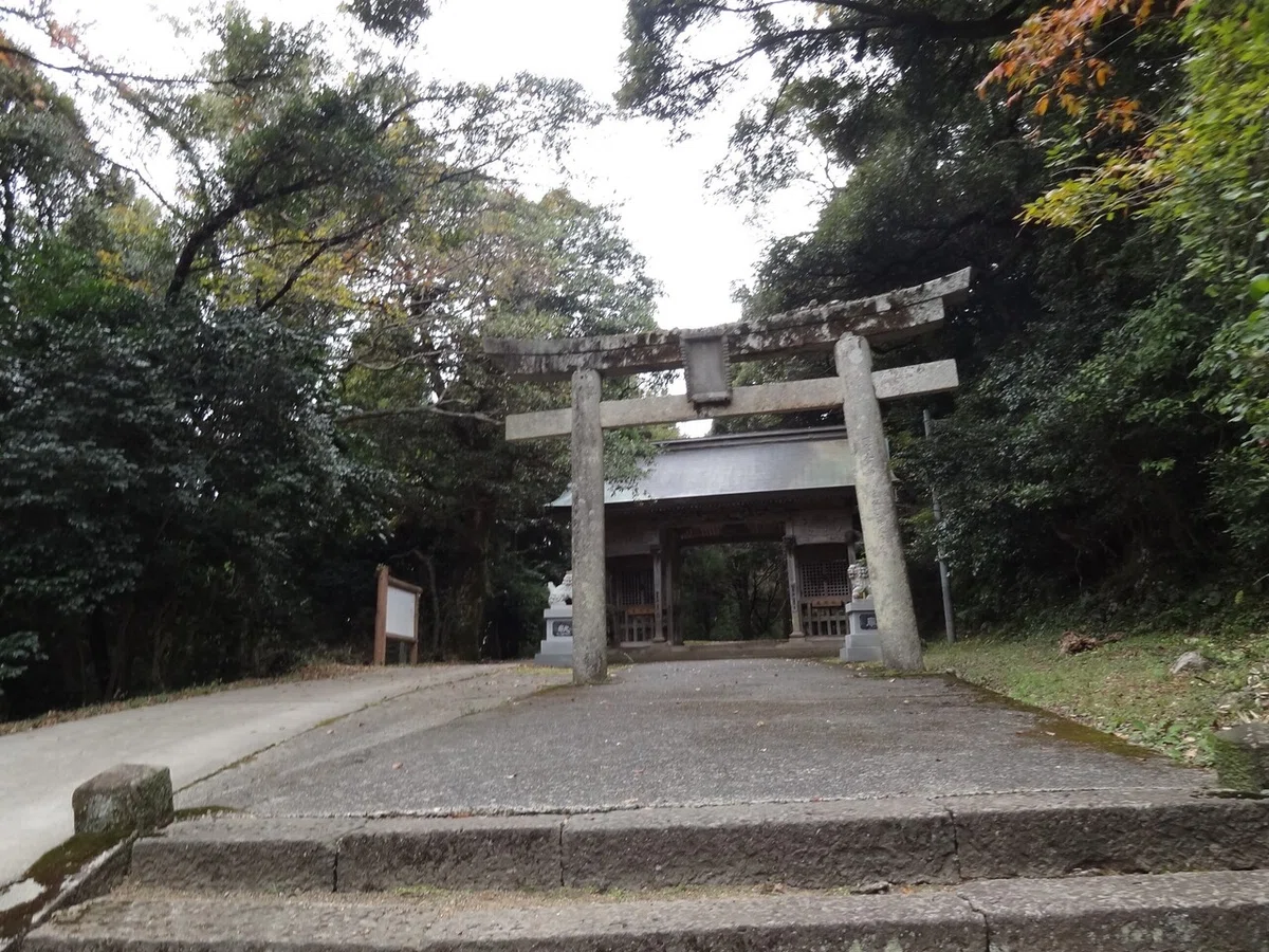 画像4