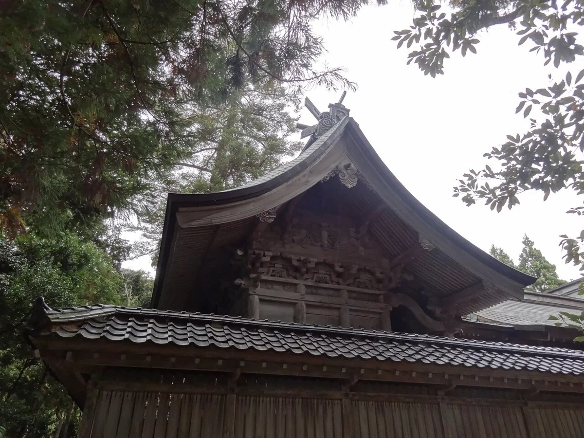 画像9