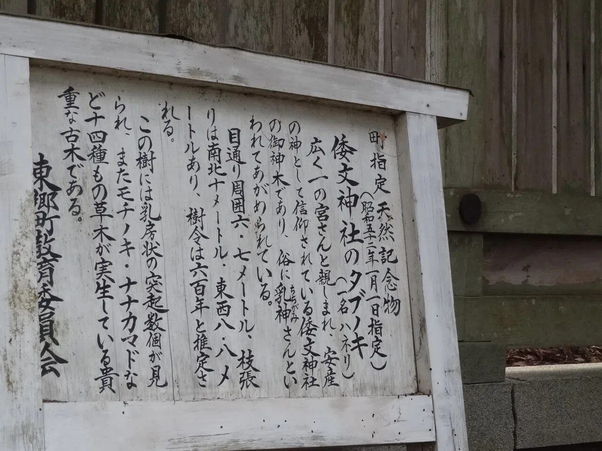 画像10