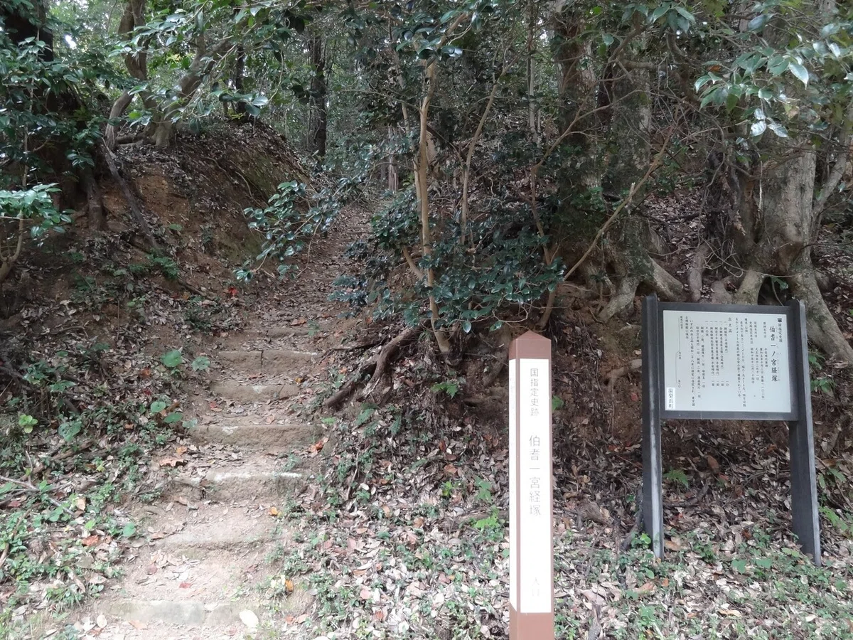 画像11