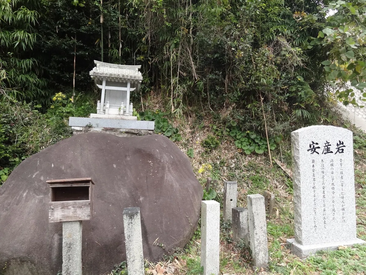 画像12