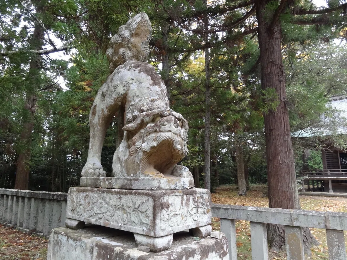 画像13