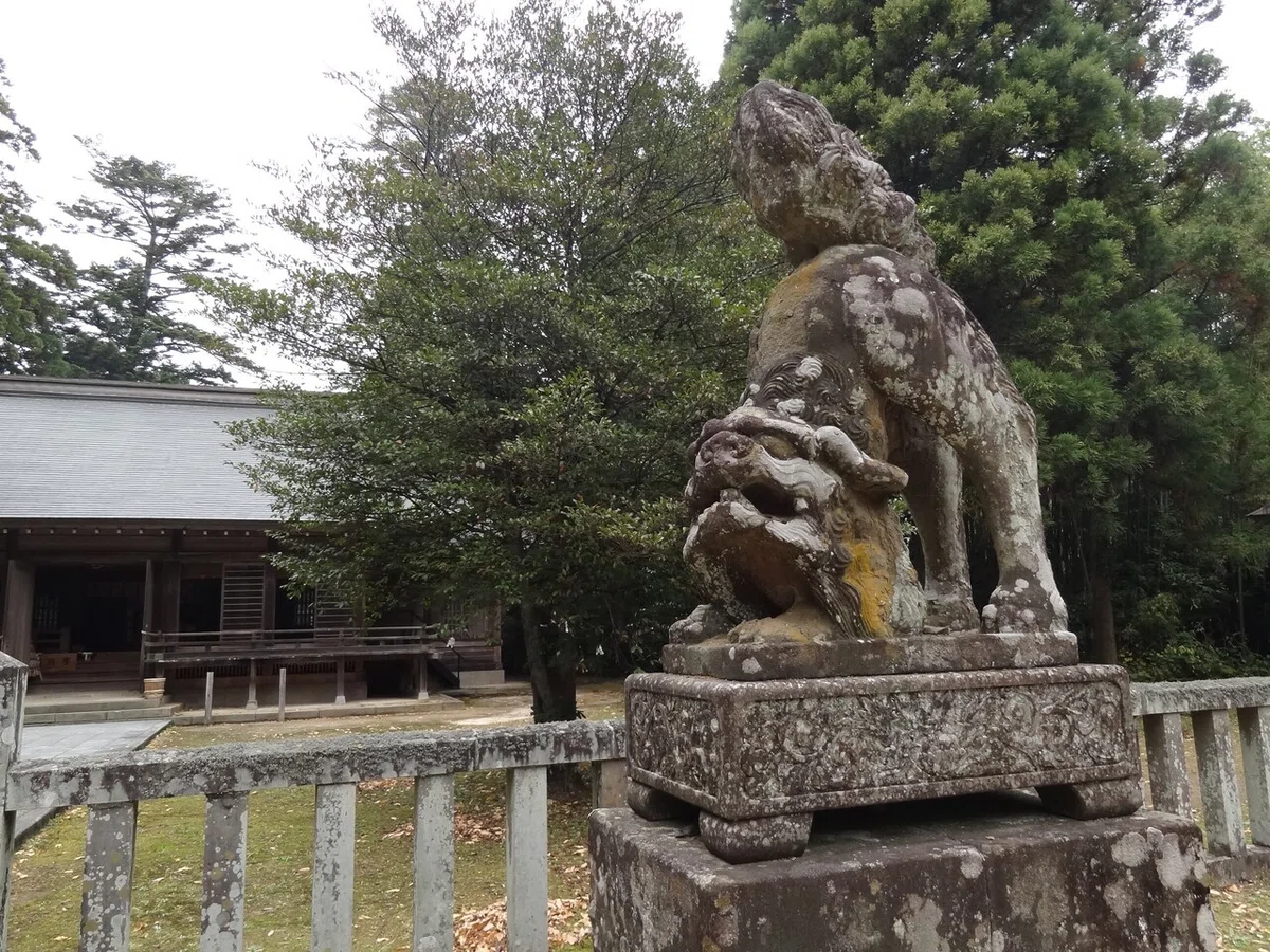 画像14