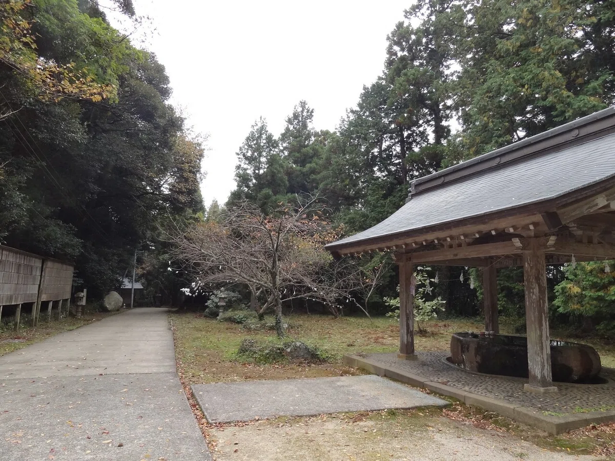 画像15