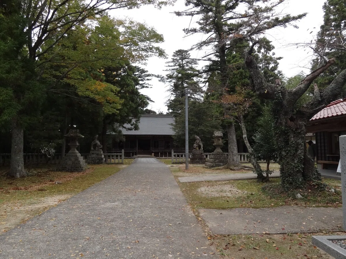 画像16