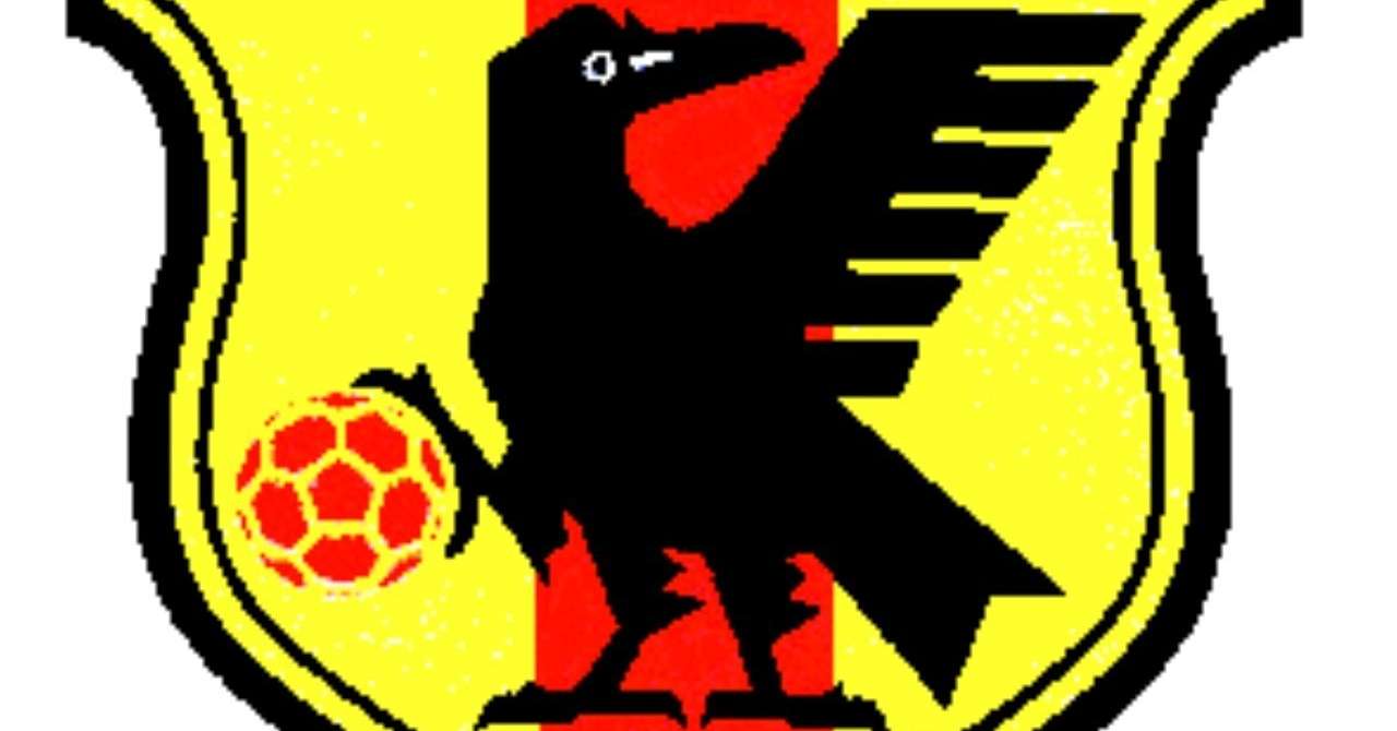 日本代表のマークの鳥って何 って言う人 プラス塾長 Note 日本代表のマークの鳥って何 って言う人 プラス塾長 Note