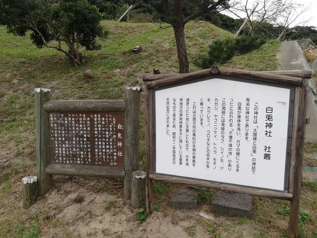 画像6
