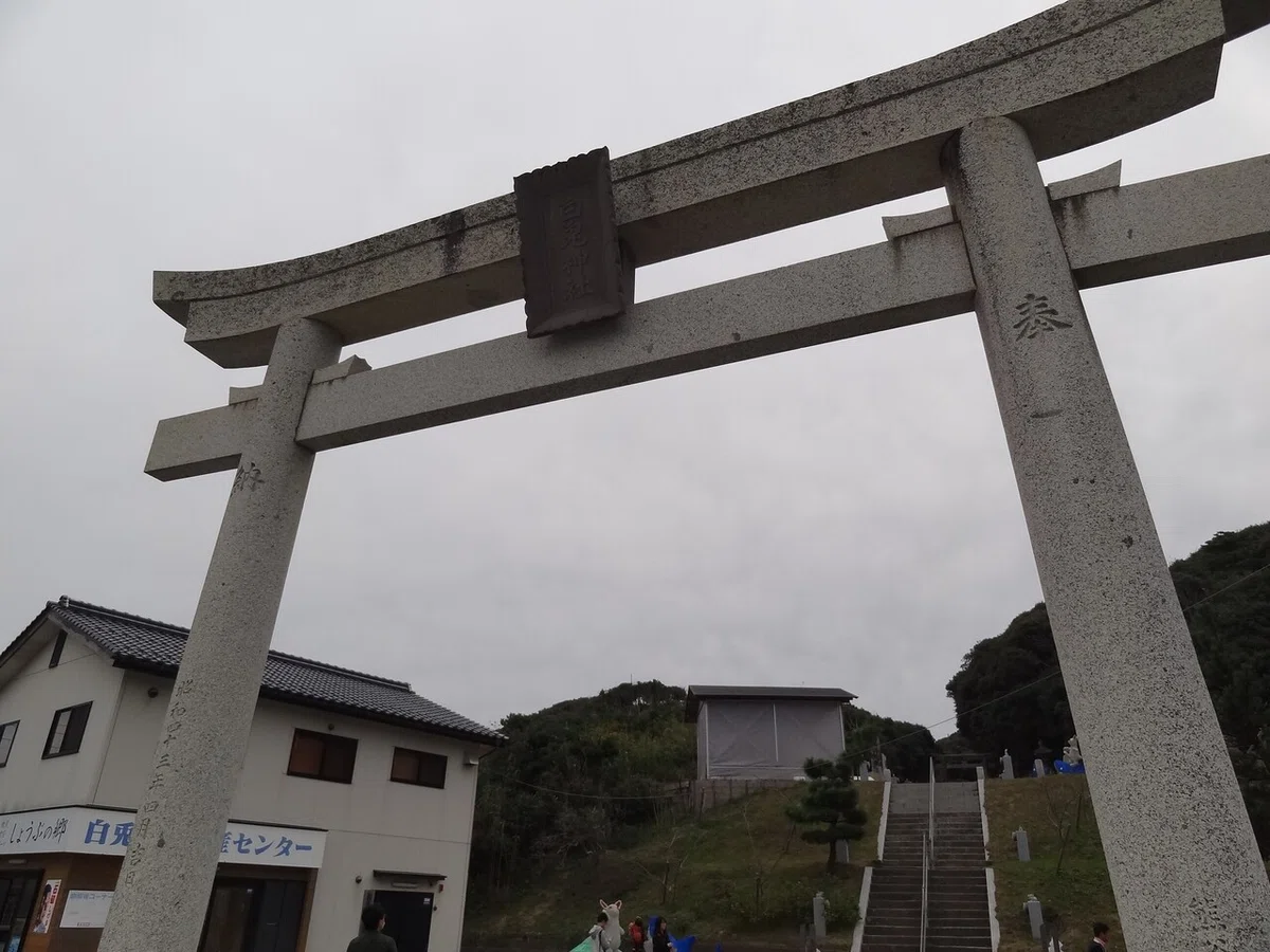 画像8