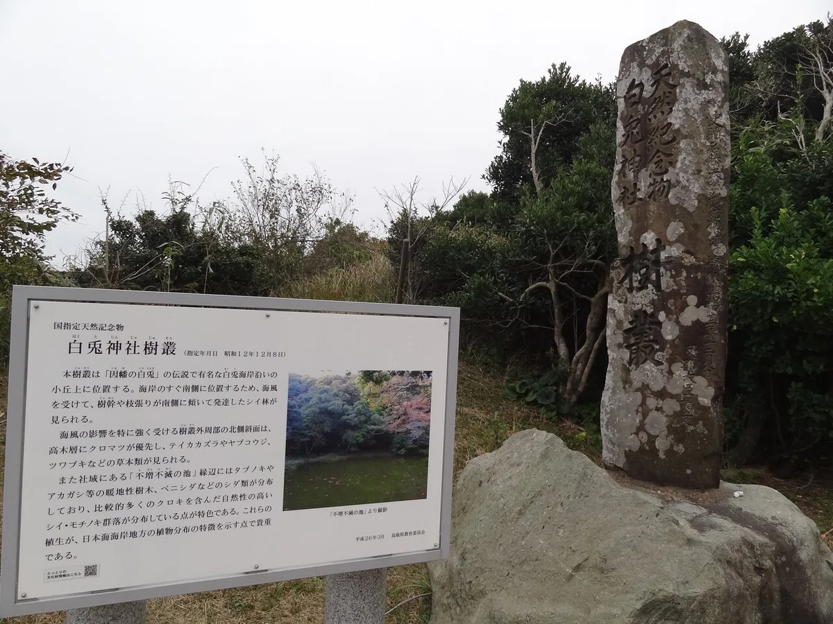 画像9