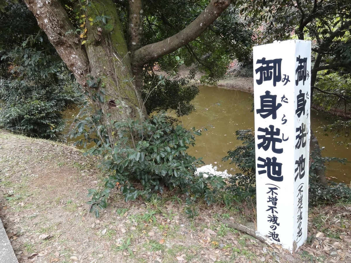 画像16