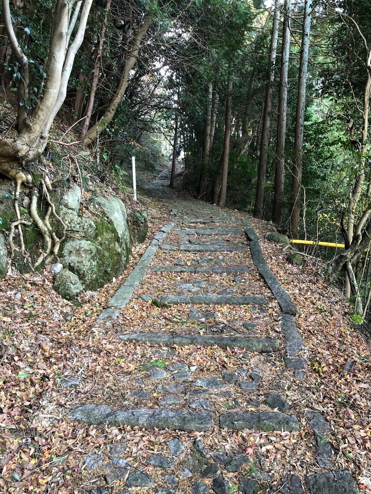 芳徳寺坂道_柳生街道