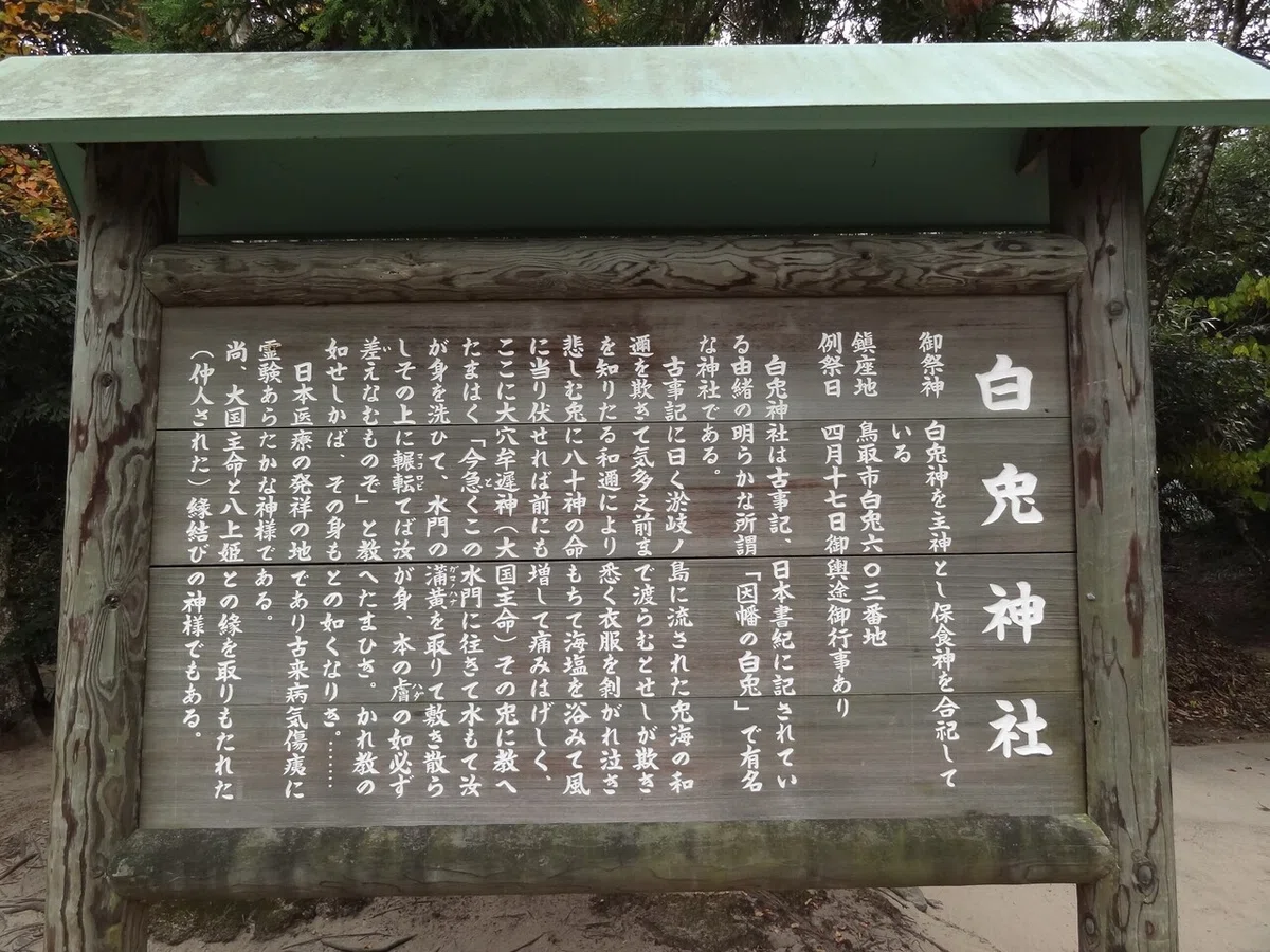 画像20