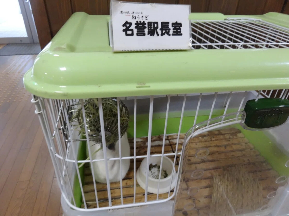 画像23