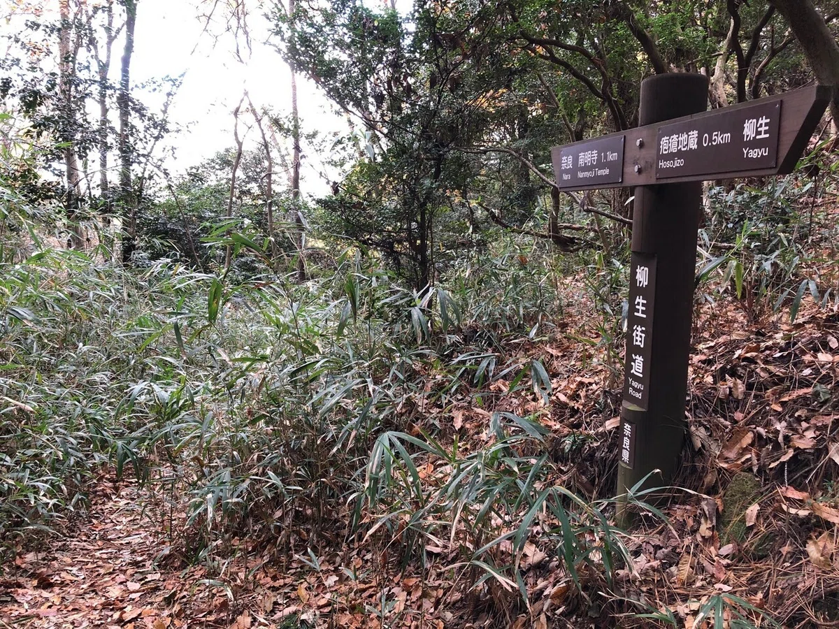 柳生街道の峠_柳生街道