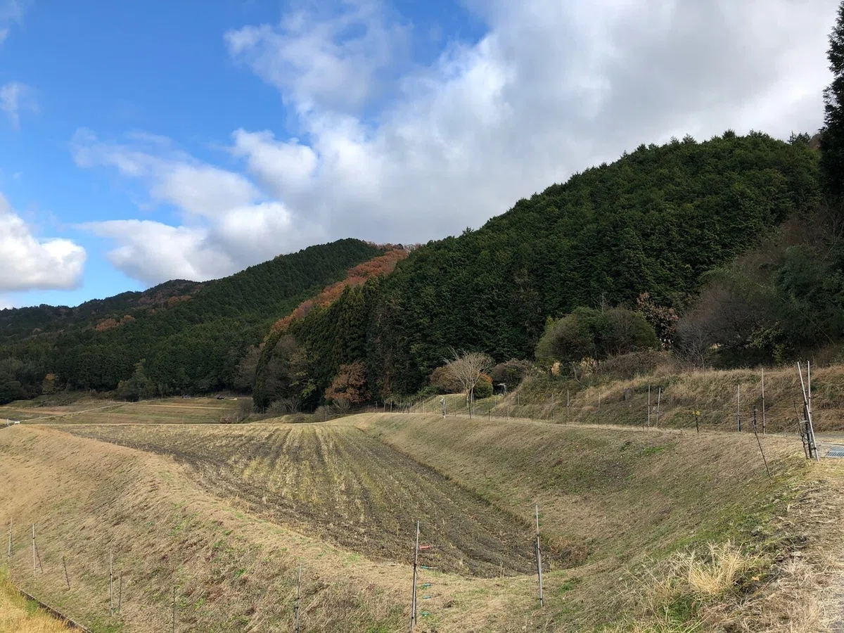 柳生街道の峠を振り返る_柳生街道