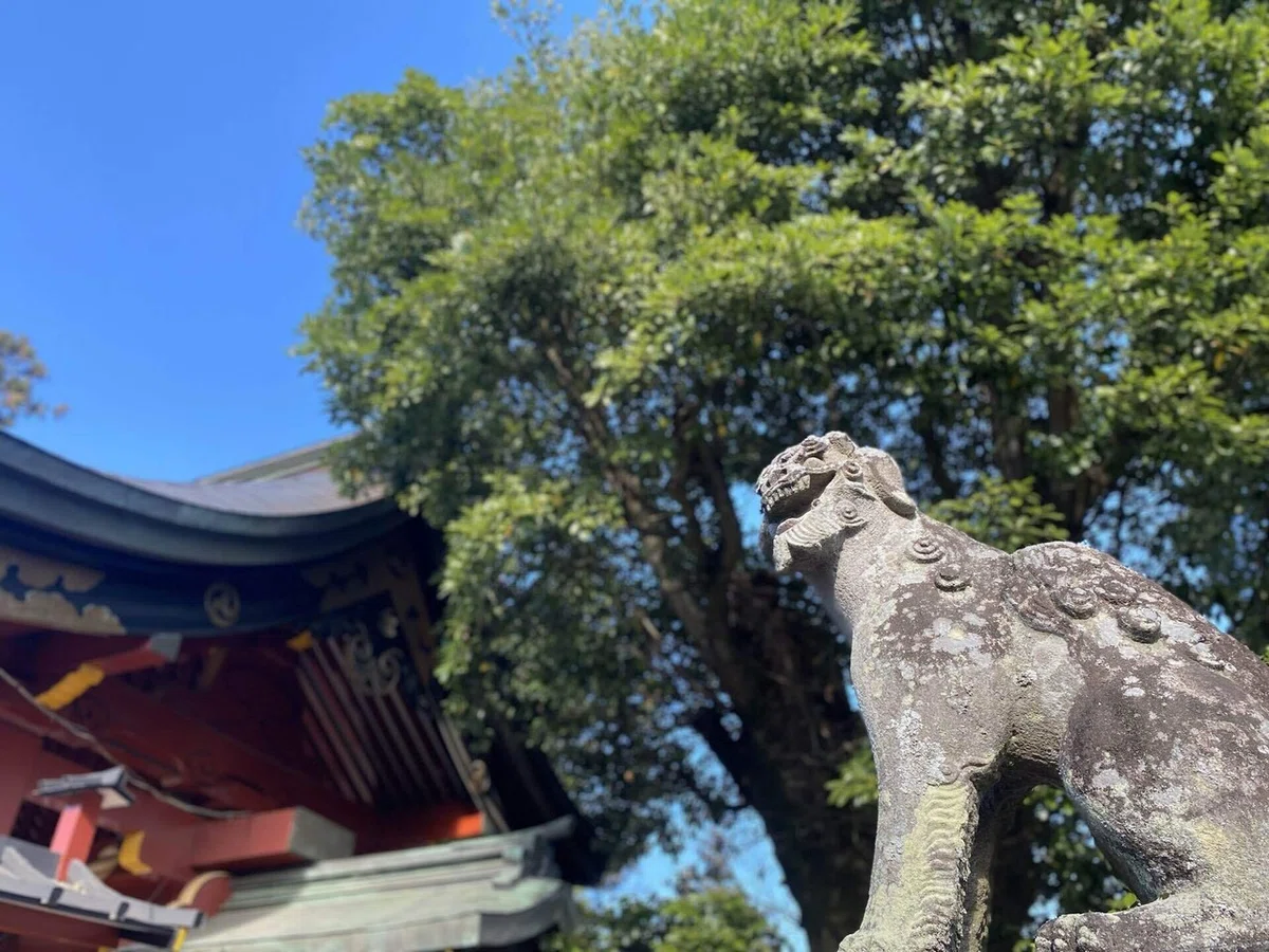 画像5
