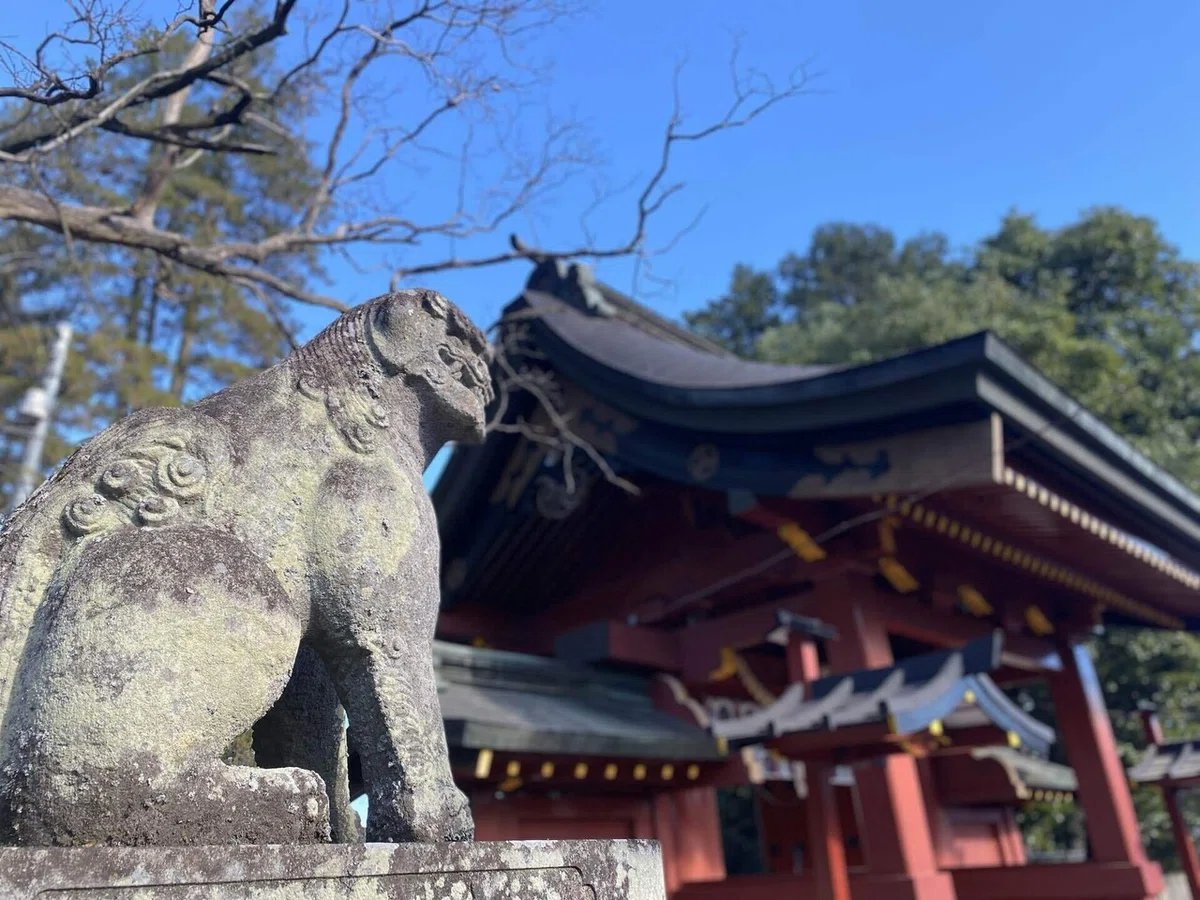 画像6