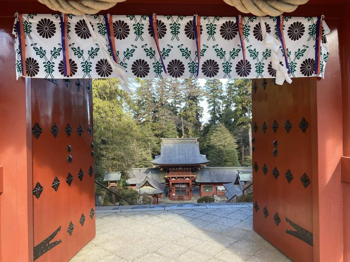 画像7