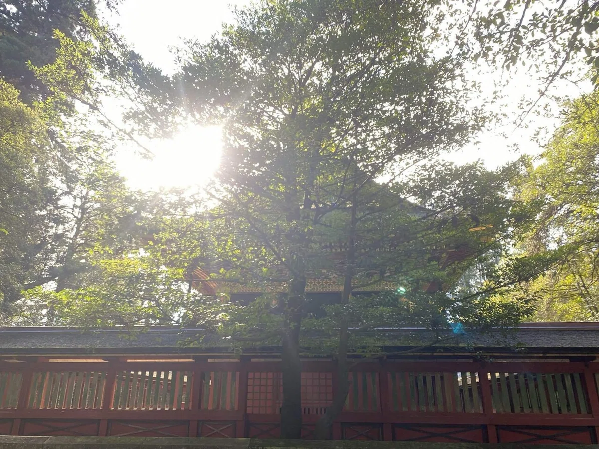 画像12