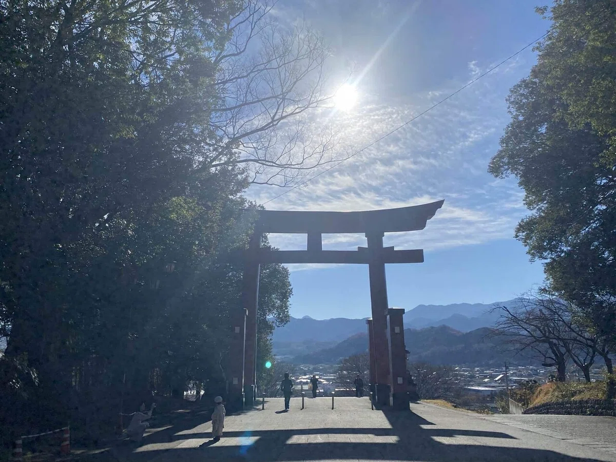 画像15