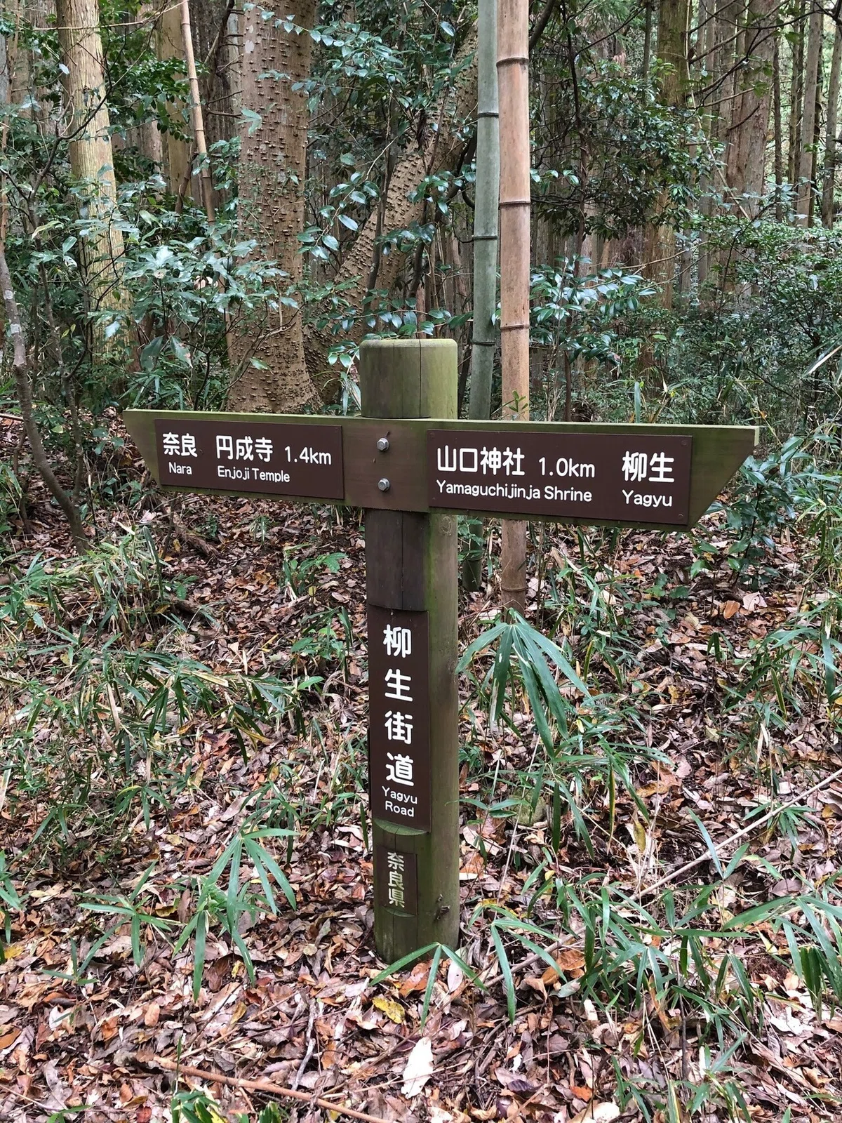 円成寺道標_柳生街道