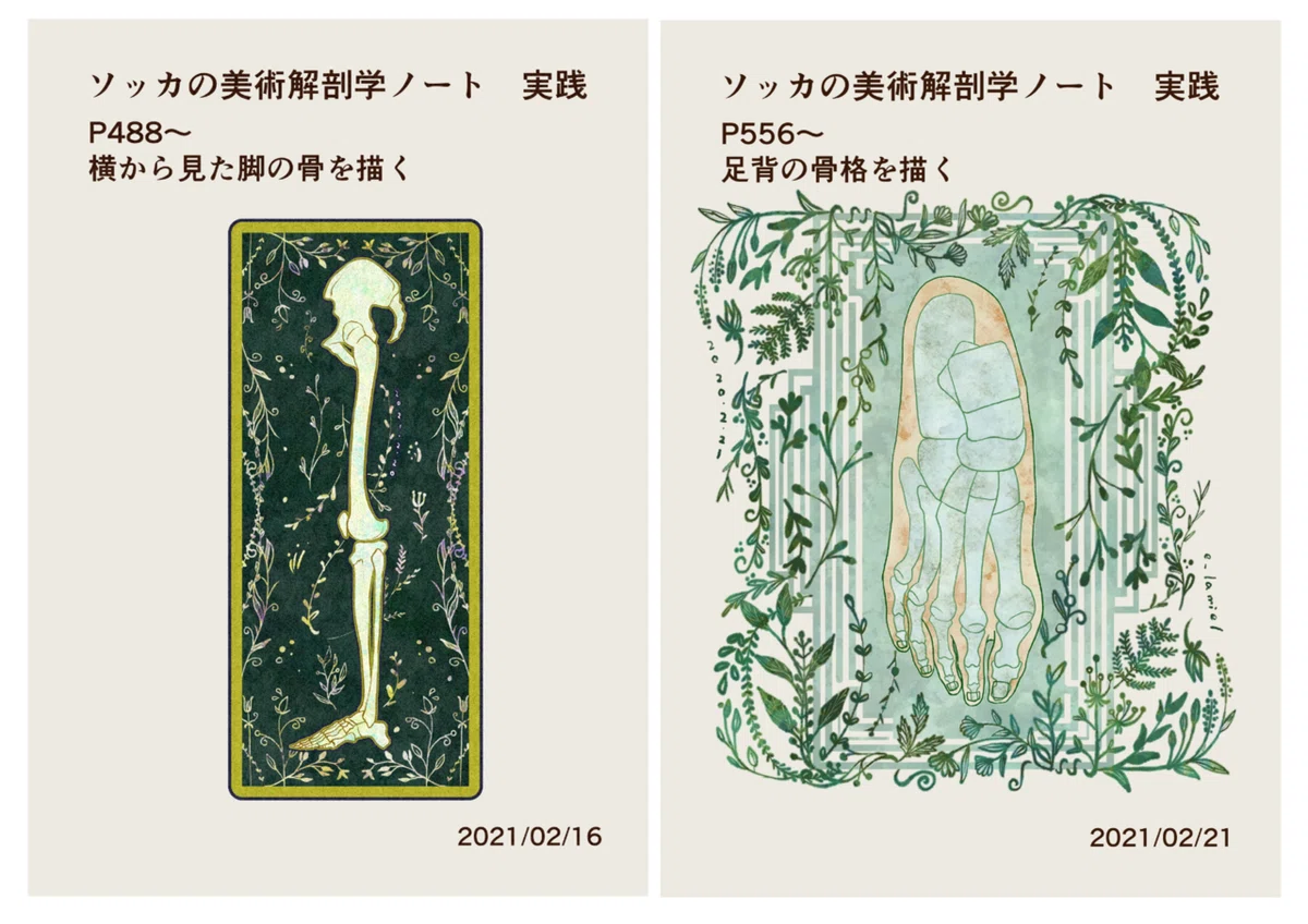 描き方 ソッカの美術解剖学 ノート無料 楽天Kobo電子書籍ストア ソッカの