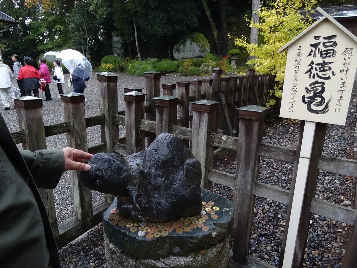 画像6