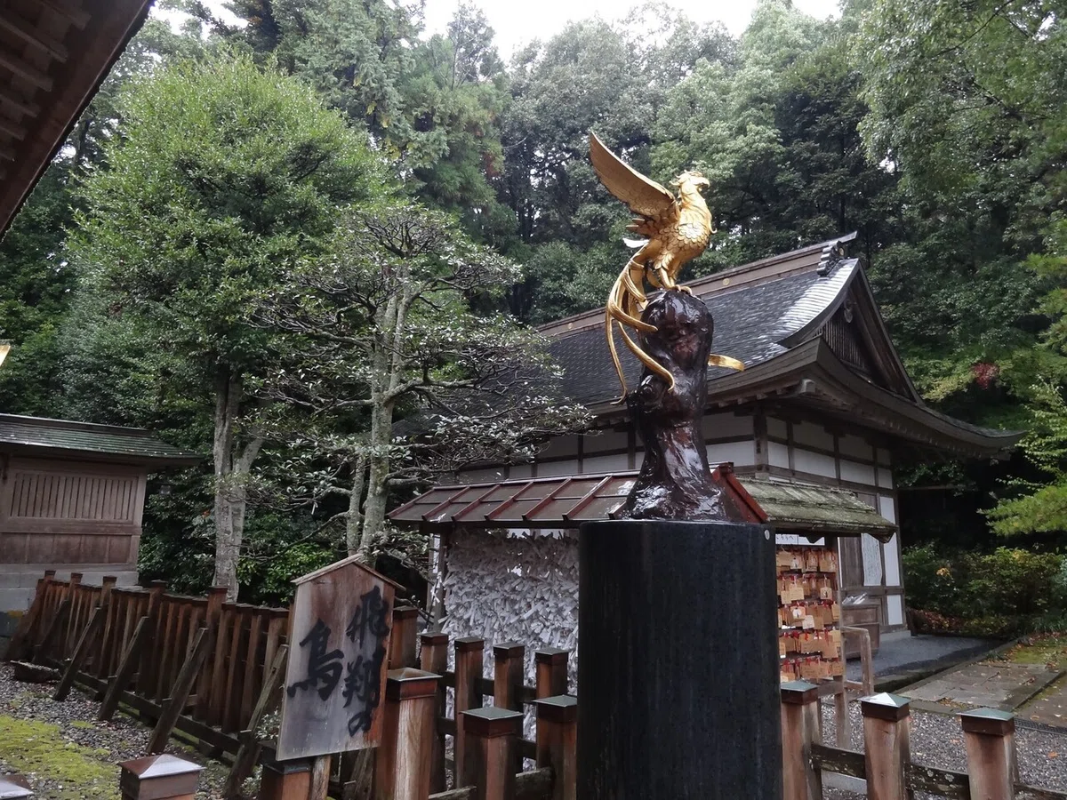 画像7